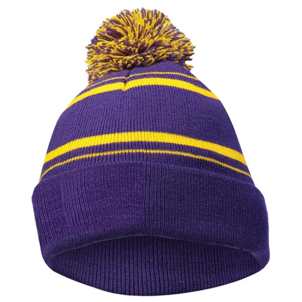 Homecoming Beanie Thumbnail