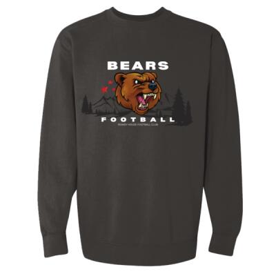 28 - Adult Bears FB Thumbnail