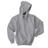 Youth EcoSmart ® Pullover Hooded Sweatshirt Thumbnail