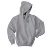 Youth EcoSmart ® Pullover Hooded Sweatshirt Thumbnail