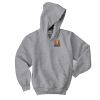 Youth EcoSmart ® Pullover Hooded Sweatshirt Thumbnail