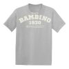 Youth EcoSmart ® 50/50 Cotton/Poly T Shirt Thumbnail